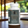 Brain & Focus Nootropic Formula | Bacopa, L-Tyrosine & GABA Blend