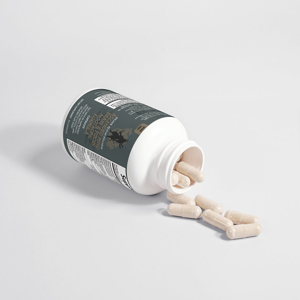 Brain & Focus Nootropic Formula | Bacopa, L-Tyrosine & GABA Blend