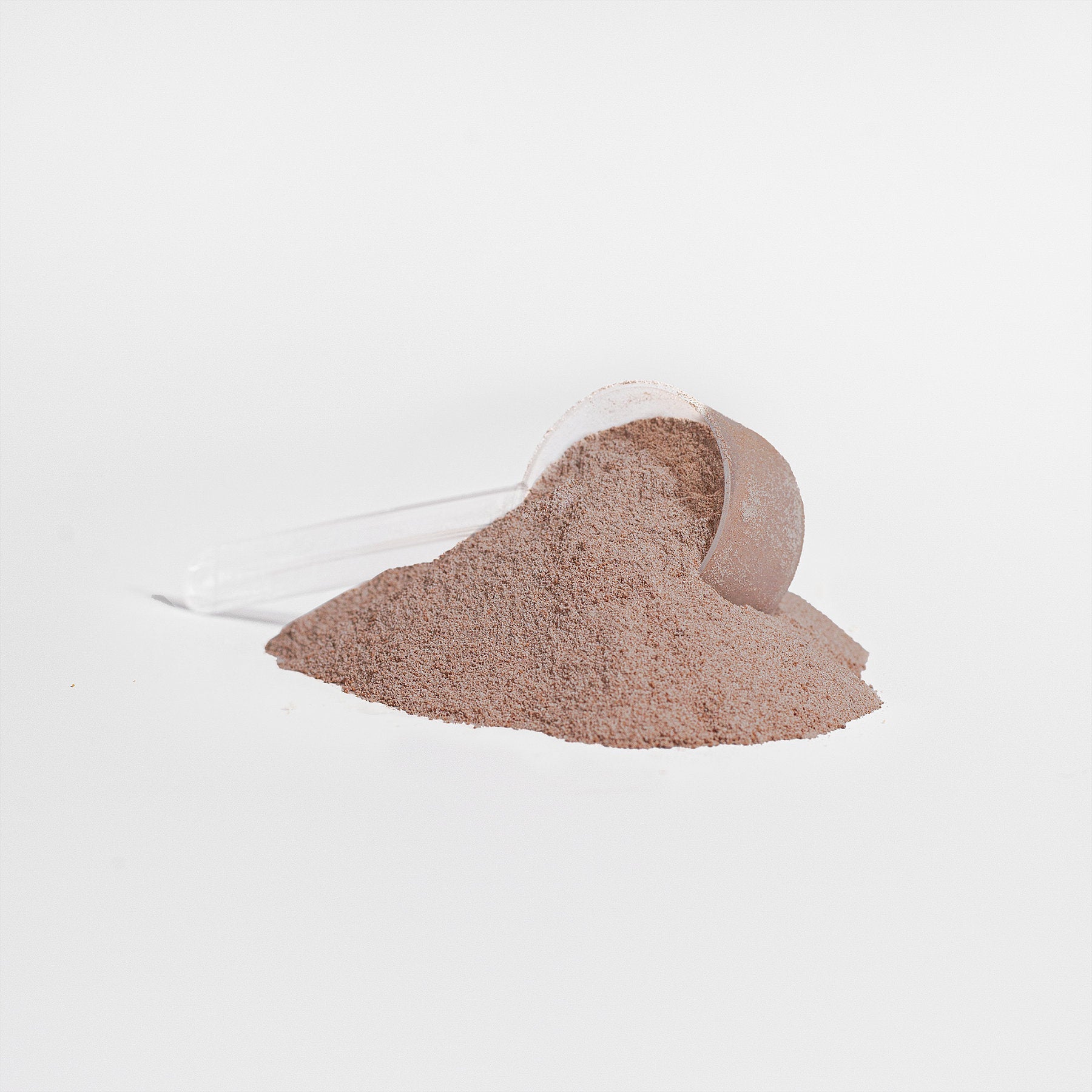 Whey Protein Isolate + MCT Oil | Rich Chocolate Wellness Shake