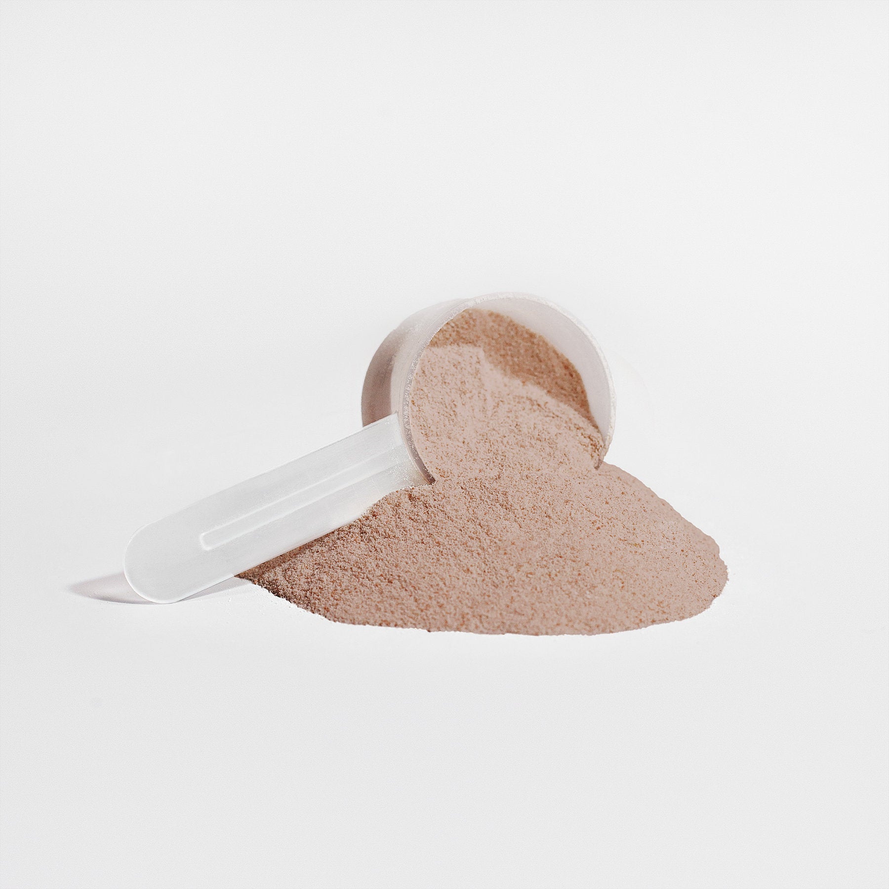 Plant Protein + MCT Oil | Rich Chocolate | Fava Bean & Fermented Yeast