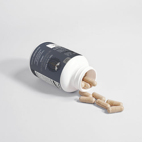10-Mushroom Wellness Blend | Chaga, Reishi, Lion's Mane & More