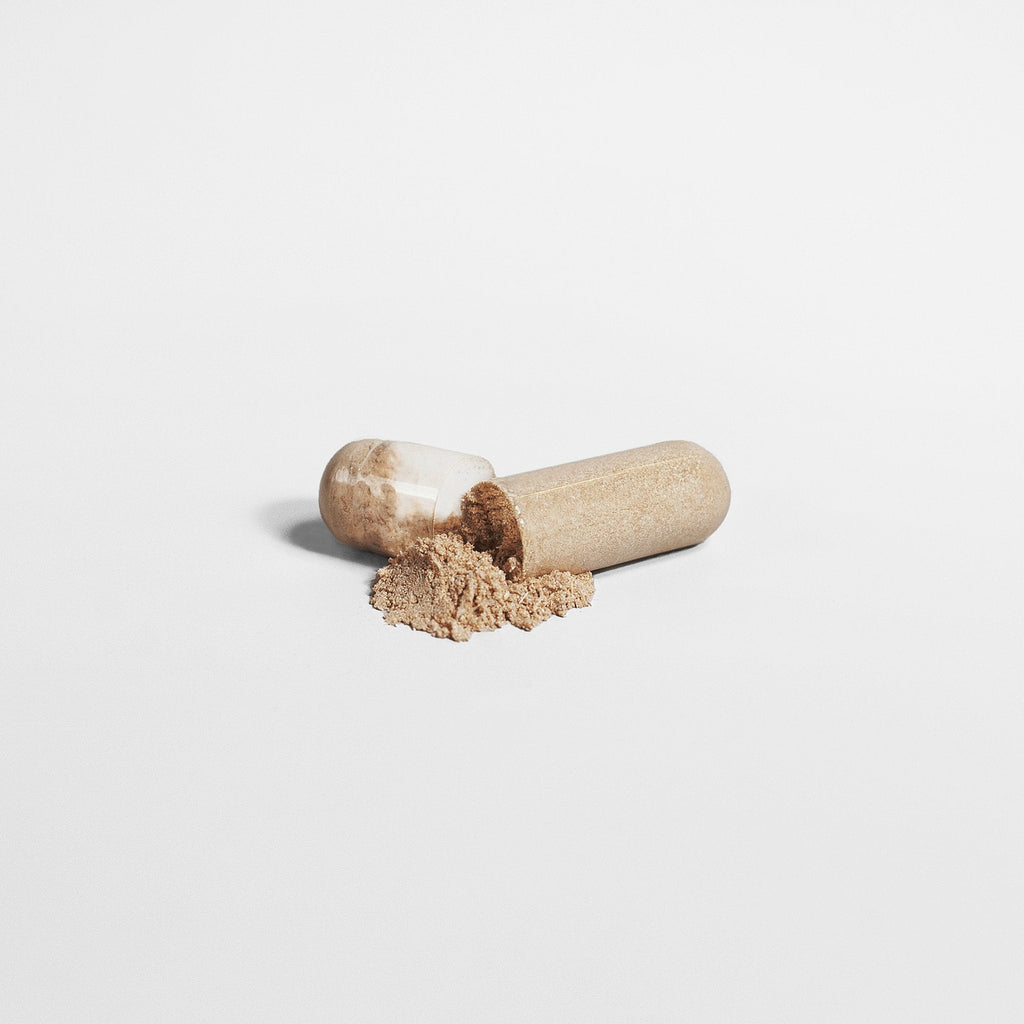 10-Mushroom Wellness Blend | Chaga, Reishi, Lion's Mane & More
