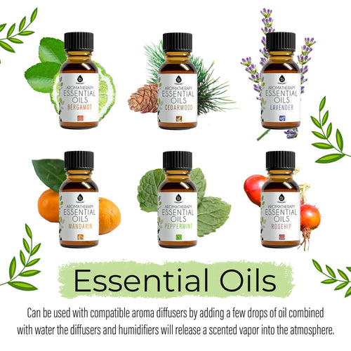 14-Piece Aromatherapy Essential Oil Gift Set — Pure Blends for Every Mood & Ritual