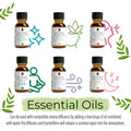 14-Piece Aromatherapy Essential Oil Gift Set — Pure Blends for Every Mood & Ritual