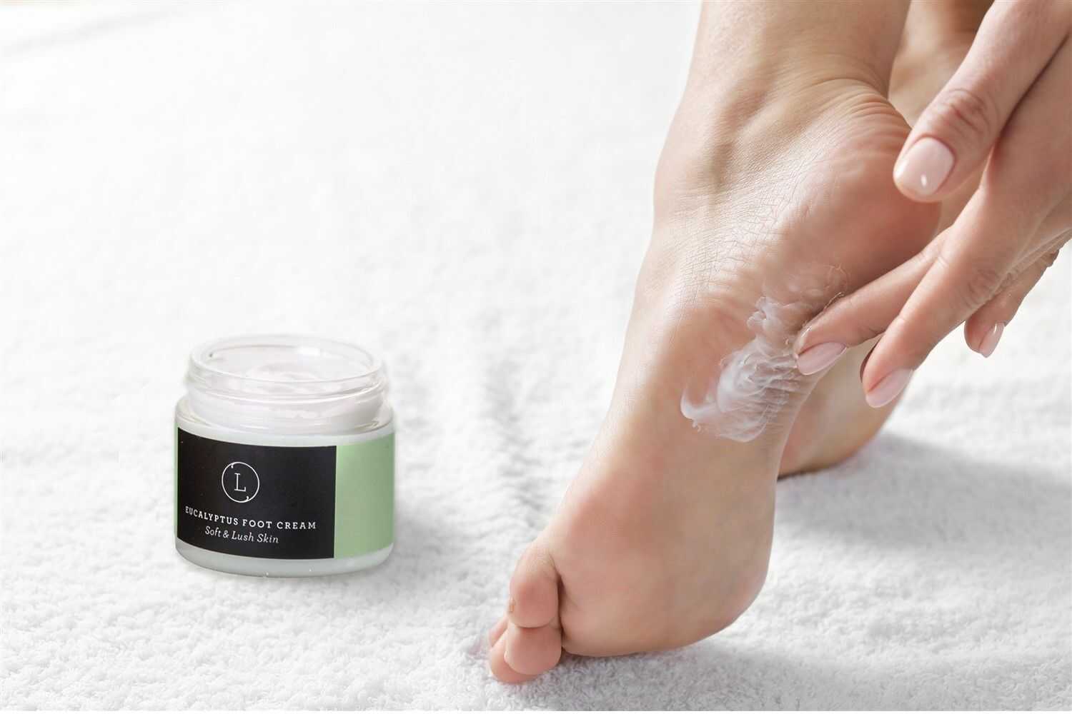 Eucalyptus CBD Shea Butter Foot Cream – Deep Moisture & Crack Repair (THC Free, 2 oz)